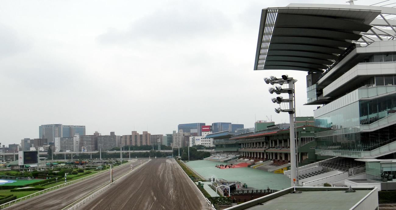 大井競馬場の全景（07年8月撮影）