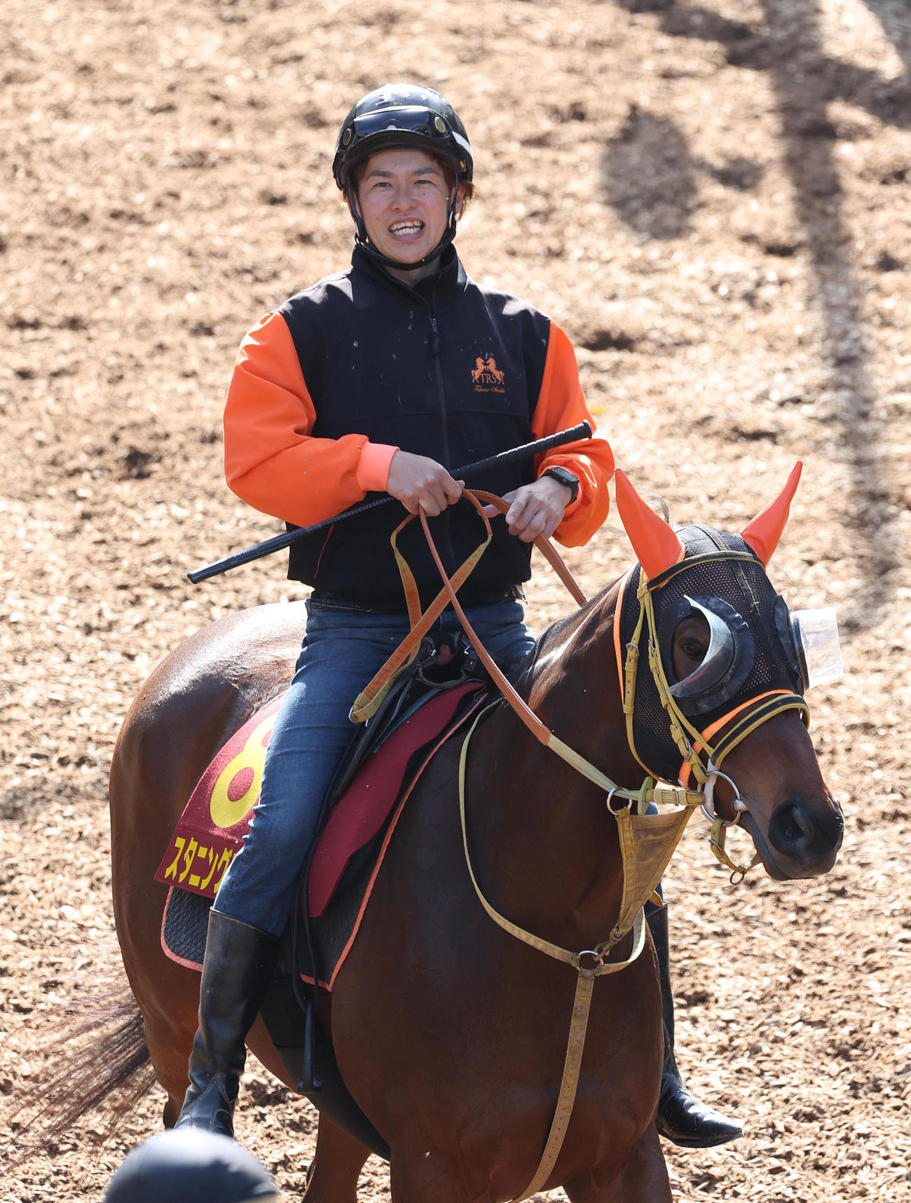 逍遥馬道で運動するスタニングローズ（撮影・白石智彦）
