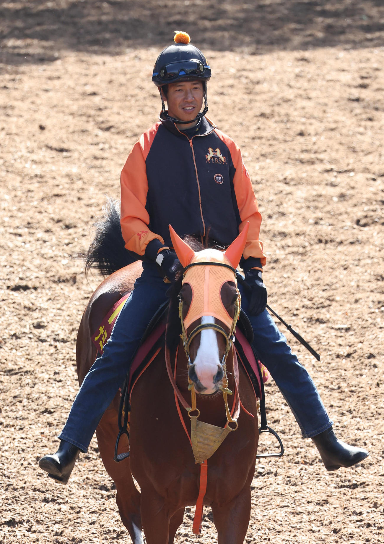 逍遥馬道で運動するナミュール（撮影・白石智彦）