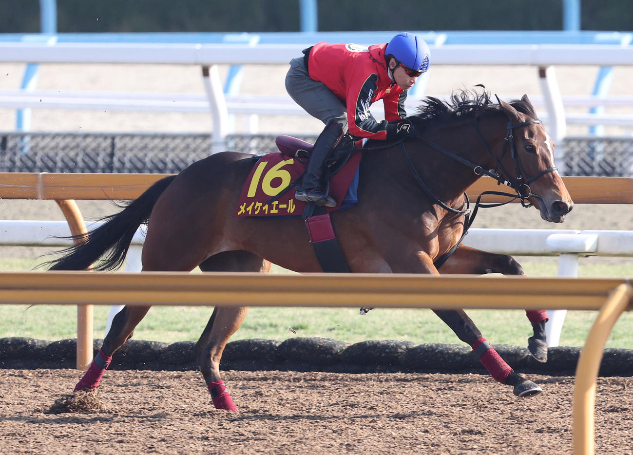 池添騎手を背にCウッドを単走で追い切るメイケイエール（撮影・白石智彦）