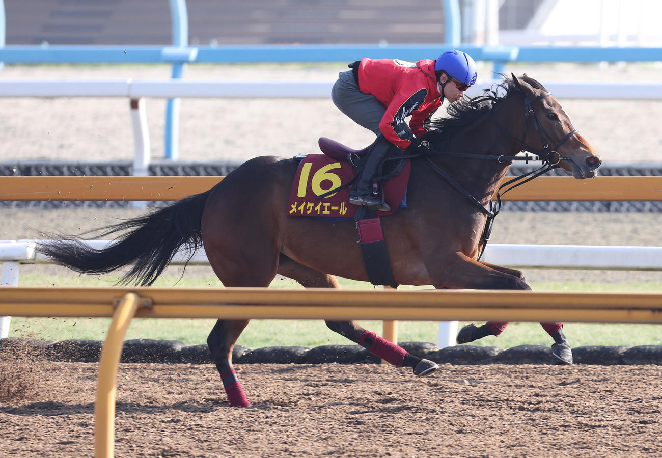 池添騎手を背にCウッドを単走で追い切るメイケイエール（撮影・白石智彦）