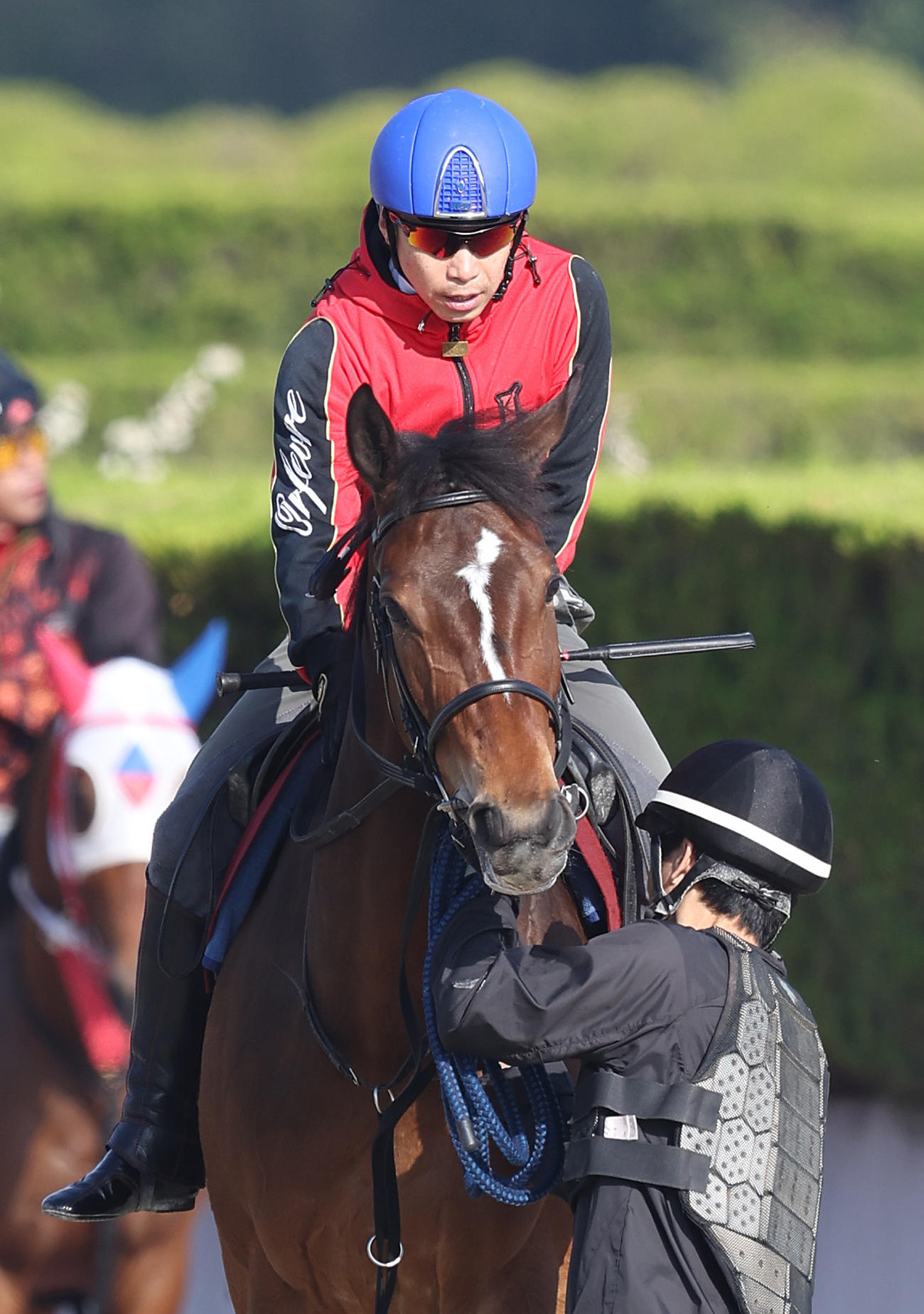 池添騎手を背に調教から引き揚げるメイケイエール（撮影・白石智彦）