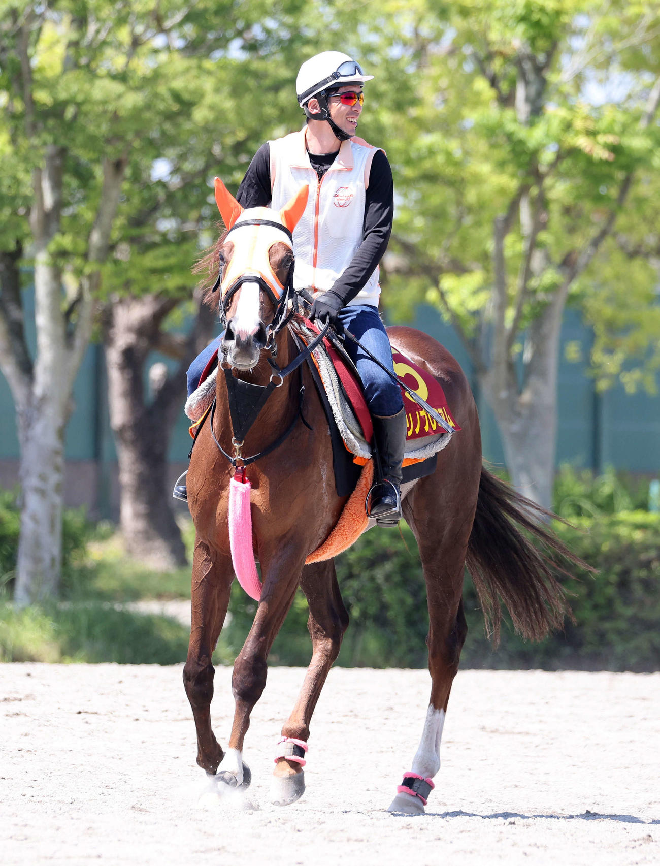 乗り運動するクリノプレミアム（撮影・鈴木正人）