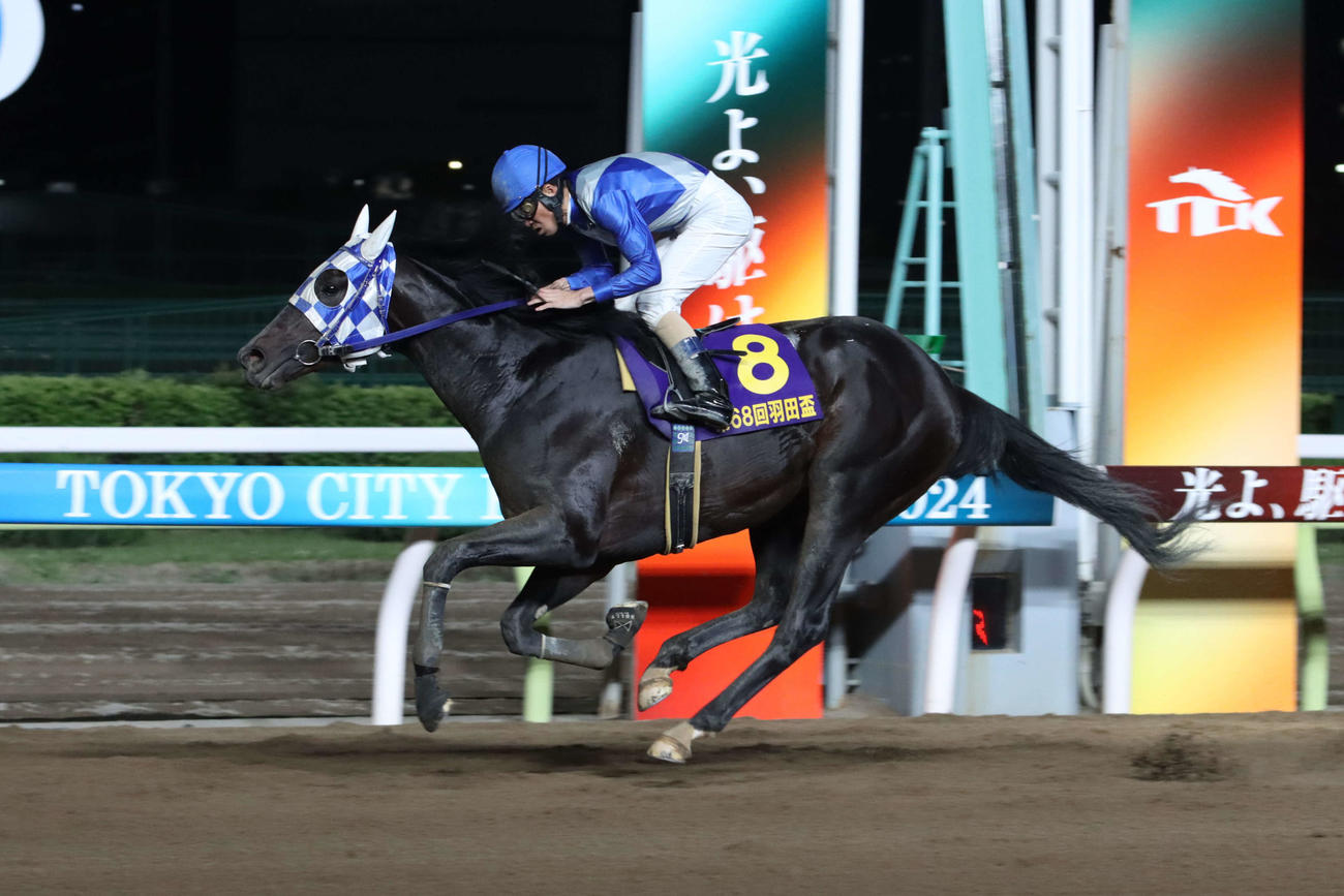 大井11R・羽田盃で2着となったヒーローコールと森泰斗騎手