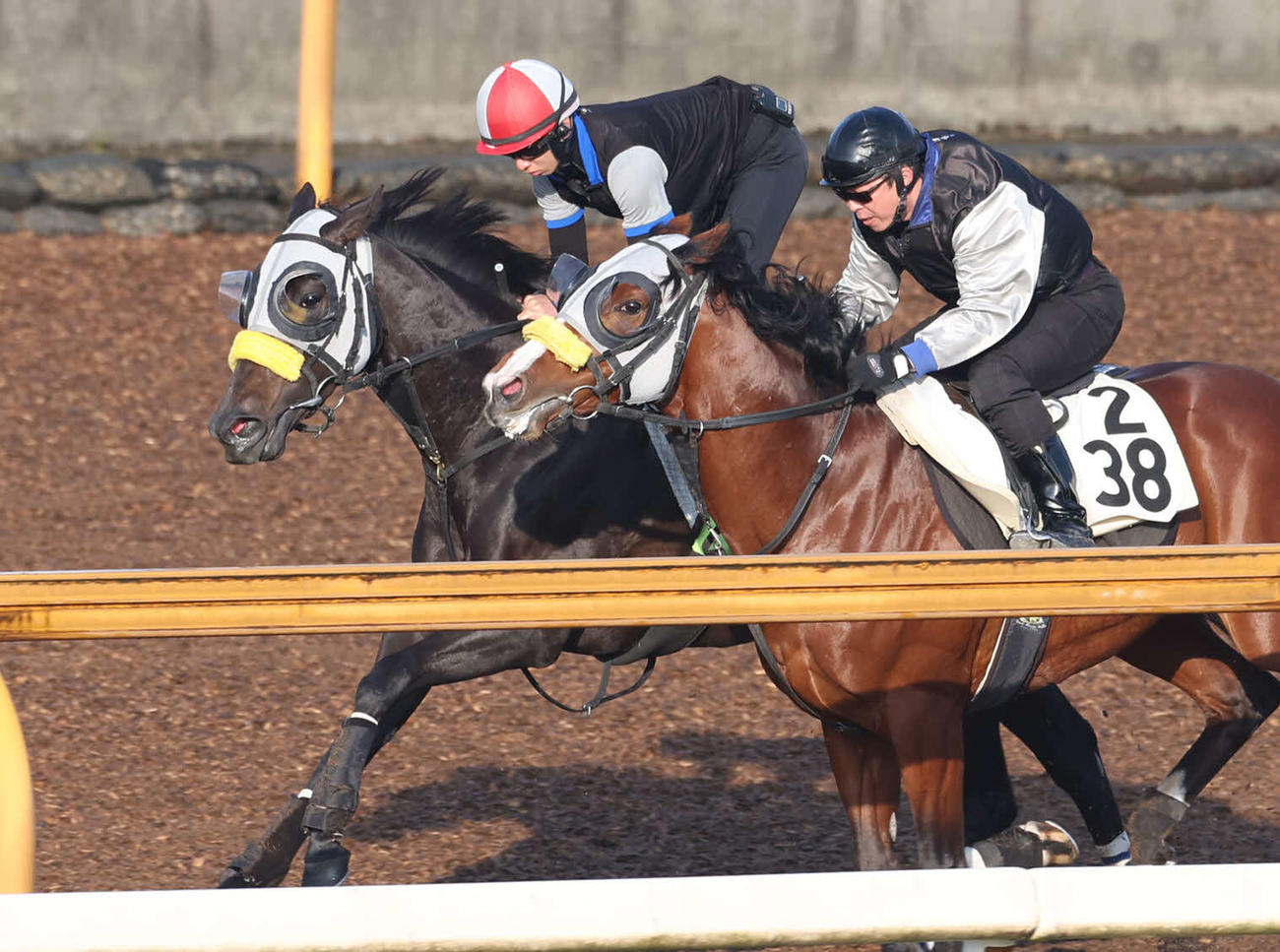 Cウッドを併せ馬で追い切るコナコースト（左）