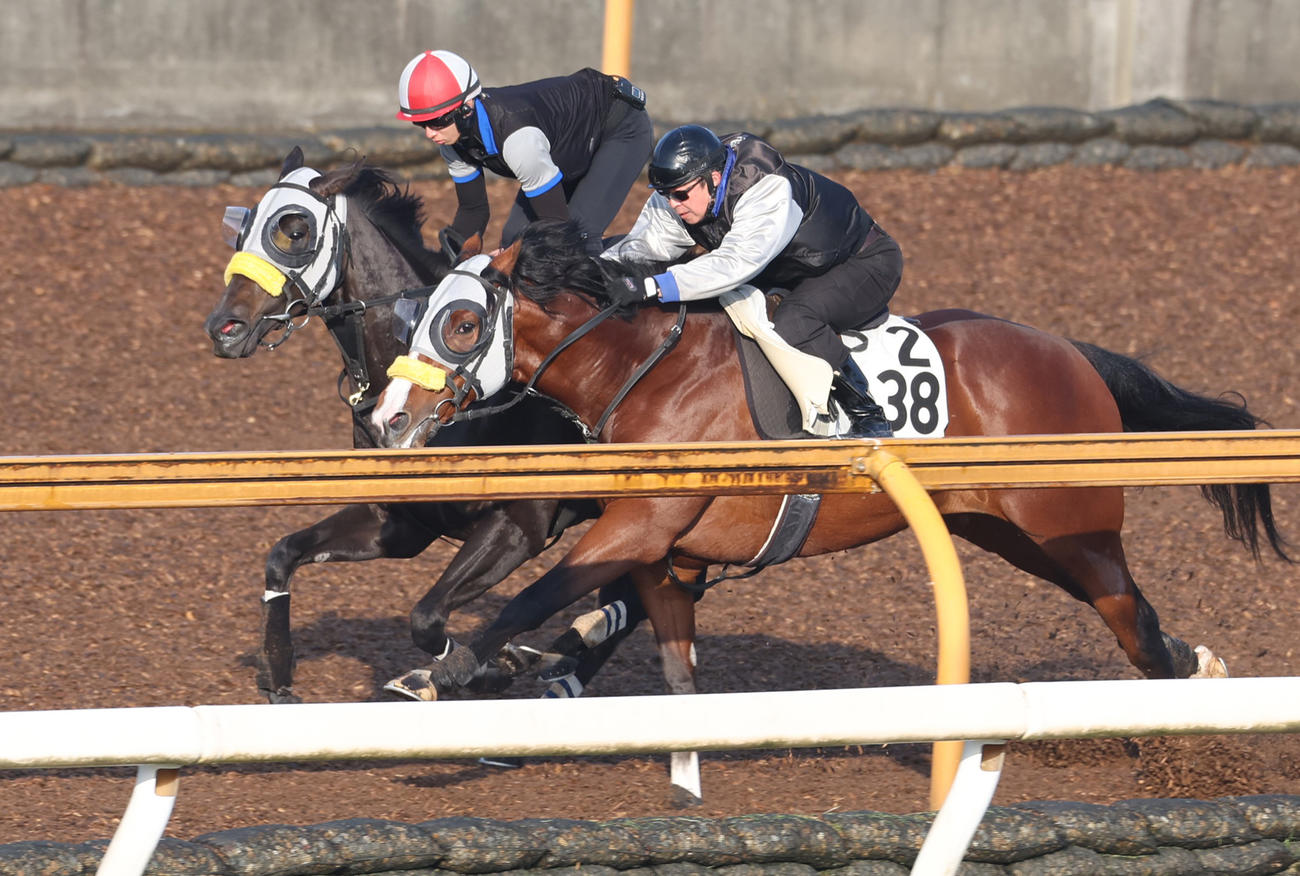 CWコースで併せ馬で追い切るコナコースト（左）