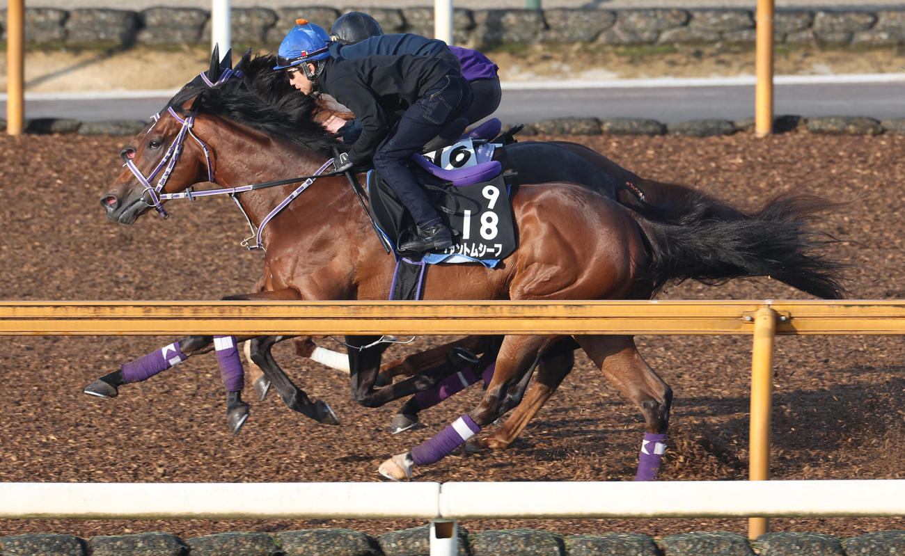 武豊騎手を背にCWコースで3頭併せで追い切るファントムシーフ（手前）