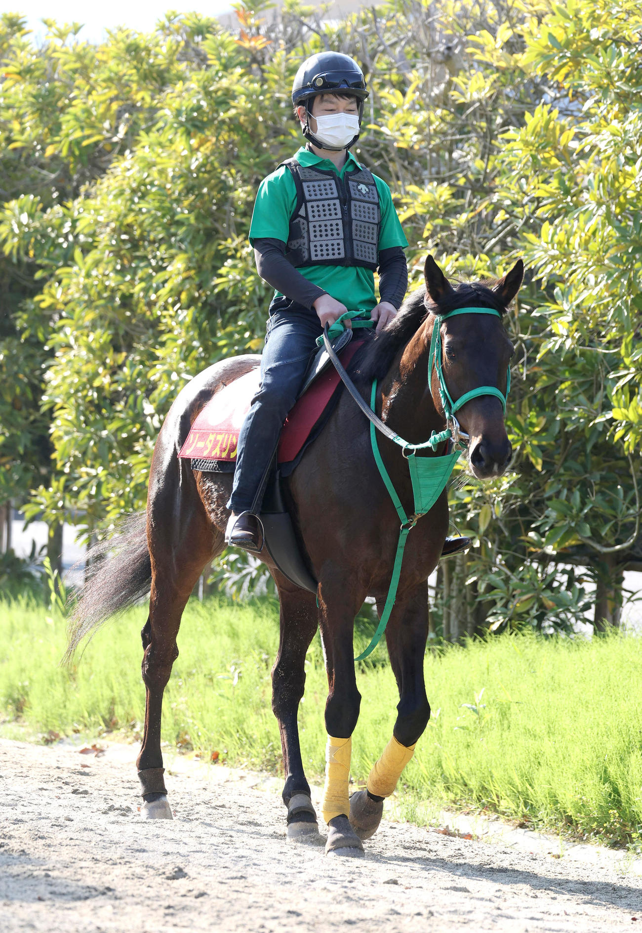 厩舎周りで運動するソーダズリング（撮影・白石智彦）