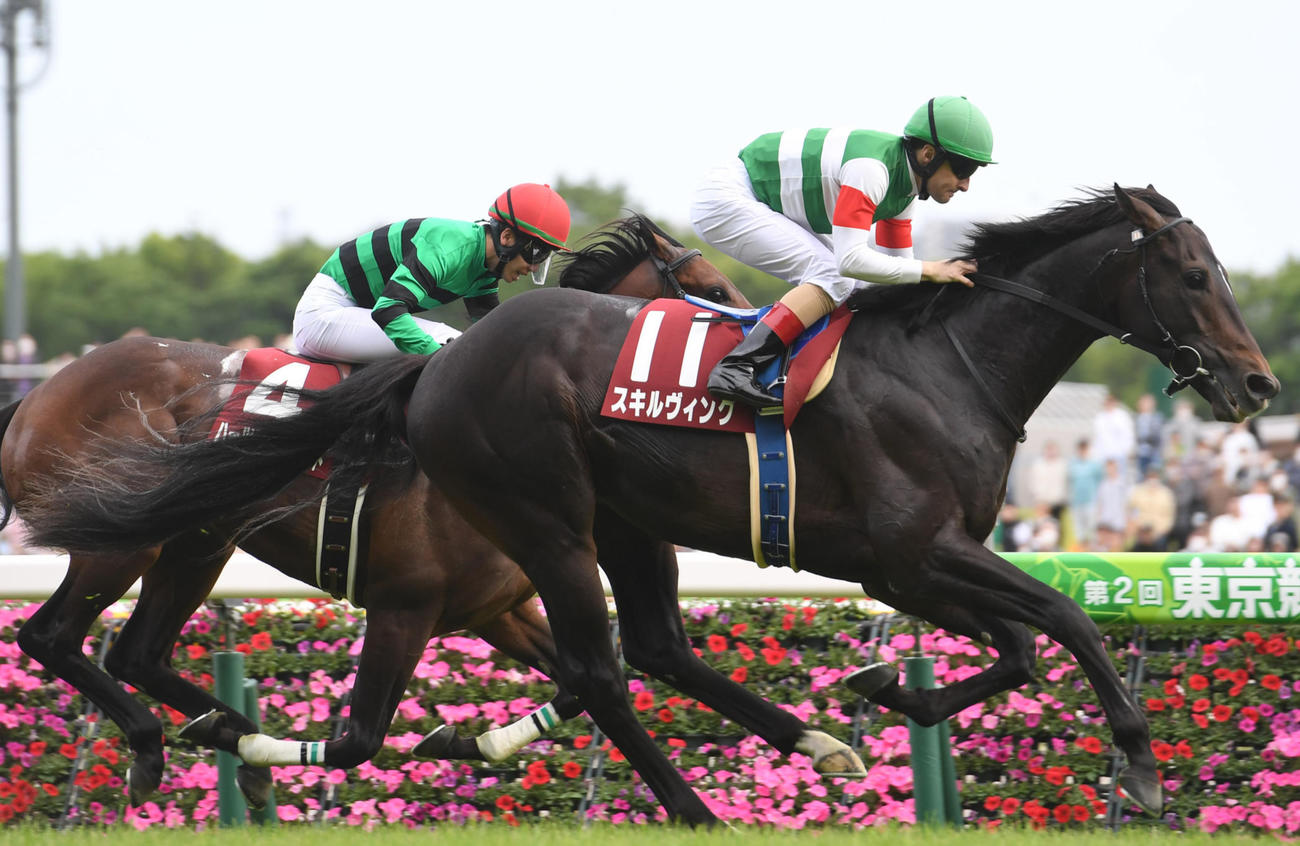 青葉賞を制したスキルヴィング（2023年4月29日撮影）