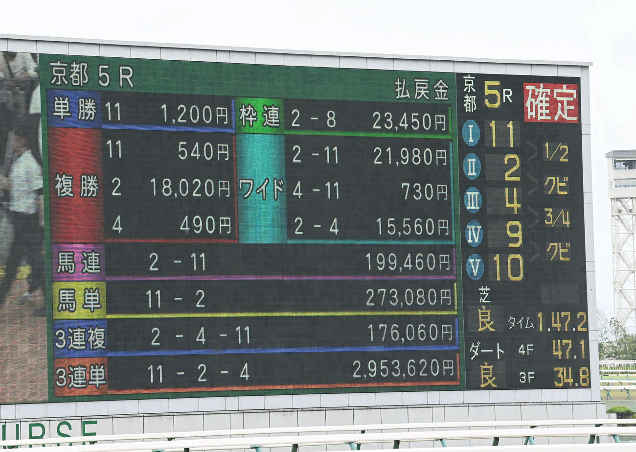 複勝のJRA史上最高配当が出た京都5R（撮影・前岡正明）