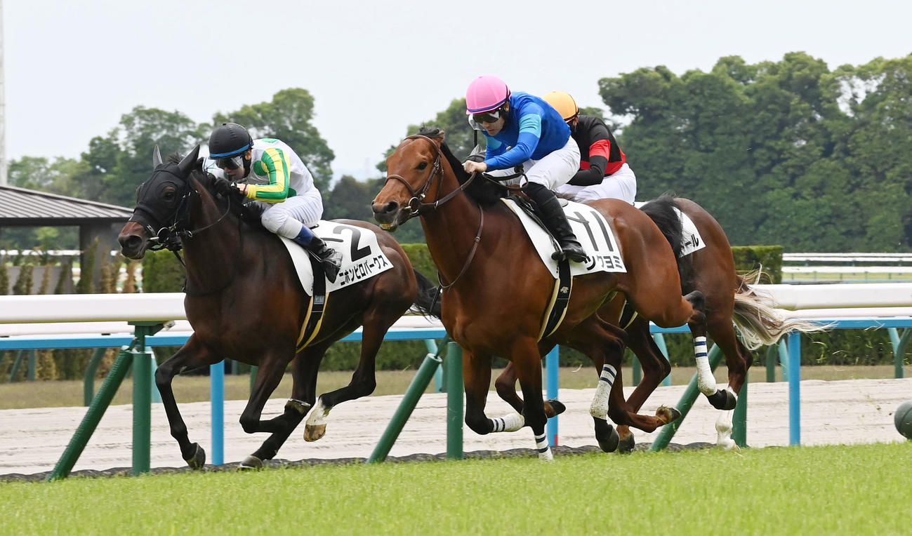 3歳未勝利を制したツクヨミ（右）。左は2着ニホンピロパークス（撮影・前岡正明）