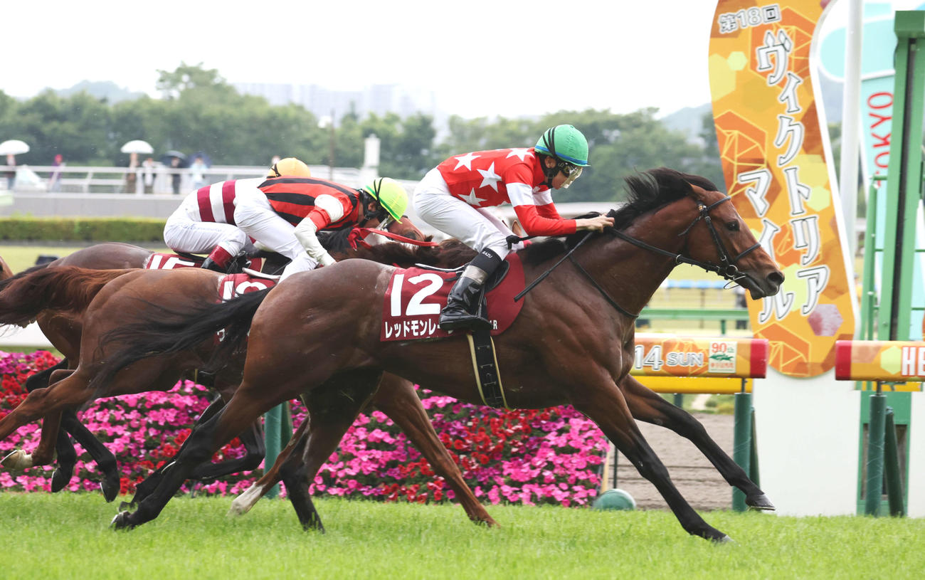 京王杯SCを制したレッドモンレーヴ（手前）と横山和生騎手（撮影・鈴木正人）