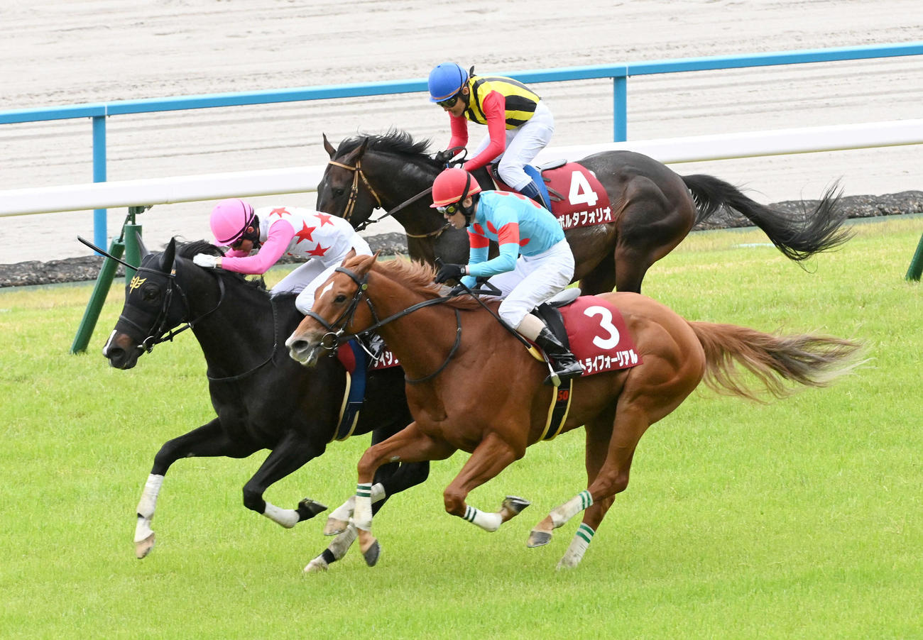 京都ハイジャンプを制したダイシンクローバー（撮影・前岡正明）