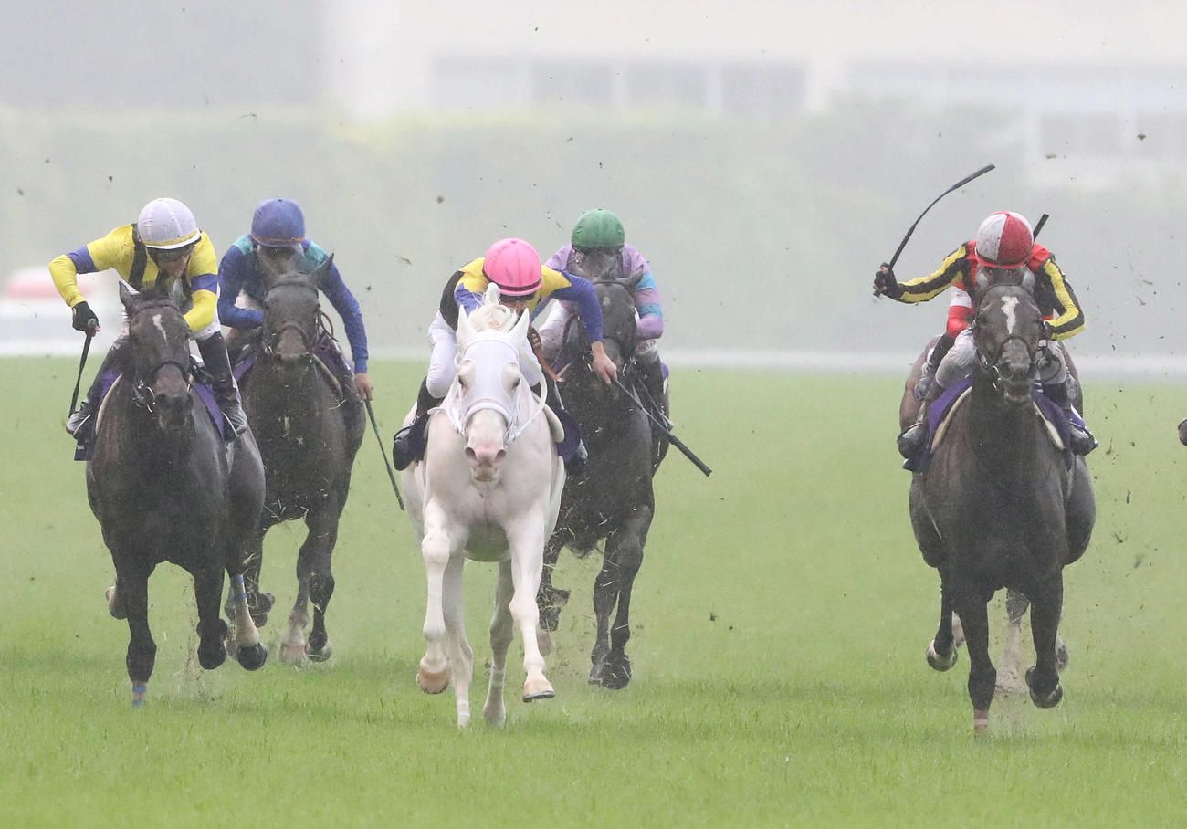 直線伸びてヴィクトリアMを制したソングラインと戸崎騎手（右端）（撮影・丹羽敏通）