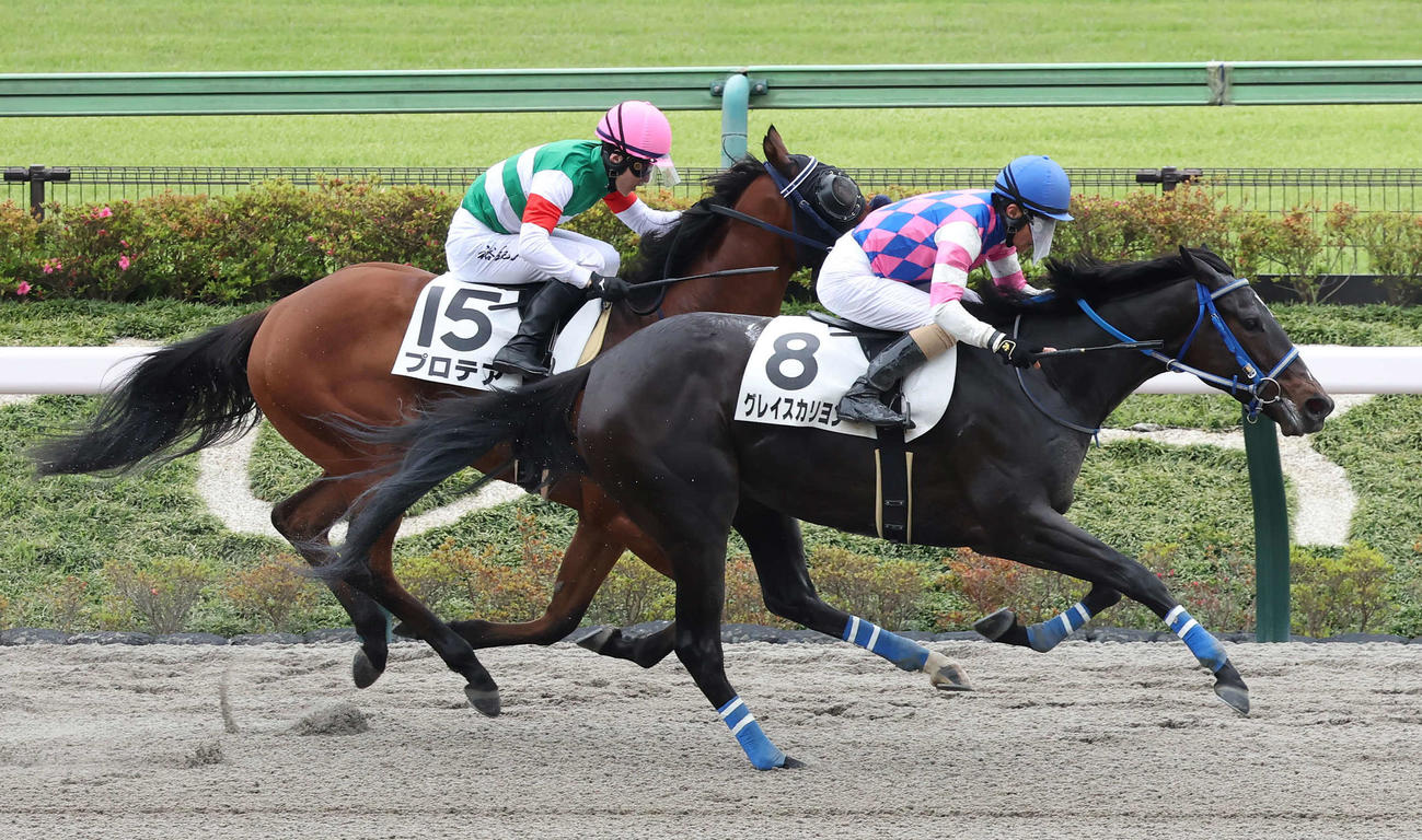 東京1R、3歳未勝利戦を制したグレイスカリヨンと柴田善騎手（手前）（撮影・丹羽敏通）