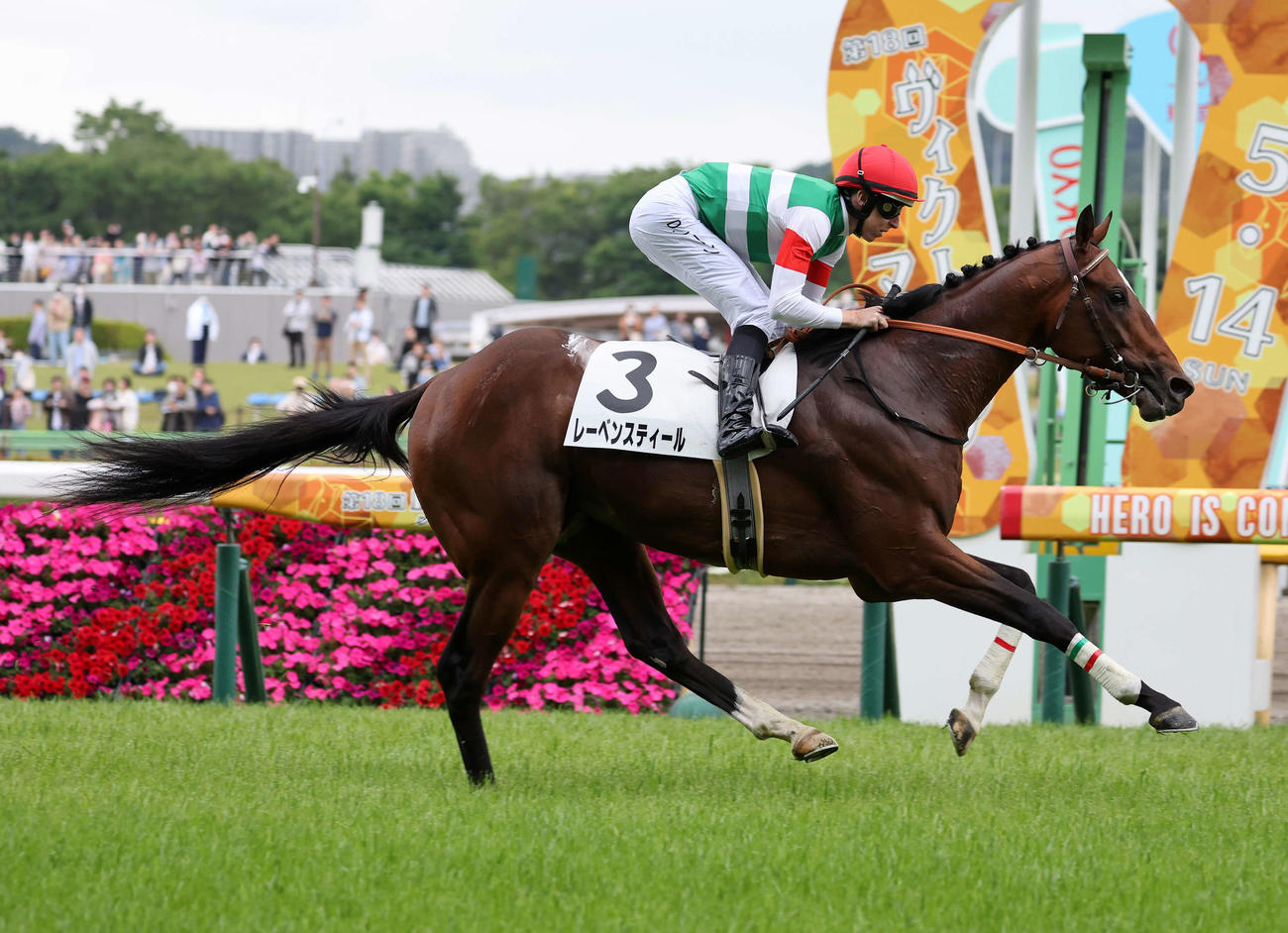 3歳1勝クラスを制したレーベンスティールとD・レーン騎手（撮影・鈴木正人）