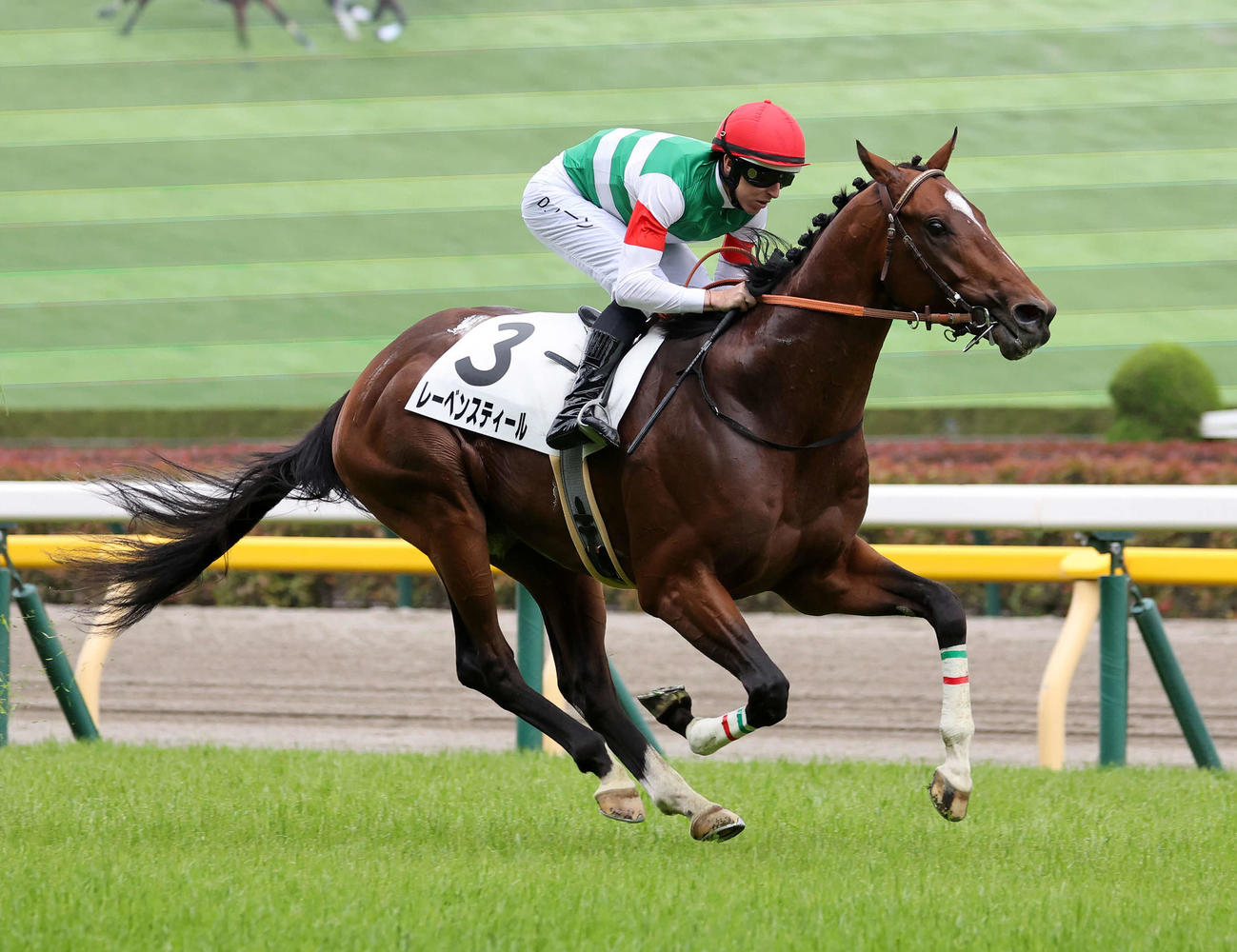 3歳1勝クラスを制したレーベンスティールとD・レーン騎手（撮影・鈴木正人）