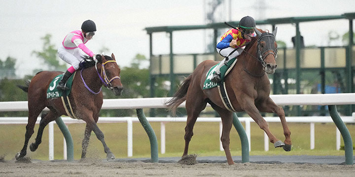 平安Sを制したテーオーケインズ。左は2着のケイアイパープル＝2022年5月21日、中京競馬場