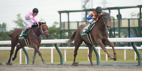 平安Sを制したテーオーケインズ。左は2着のケイアイパープル=2022年5月21日、中京競馬場