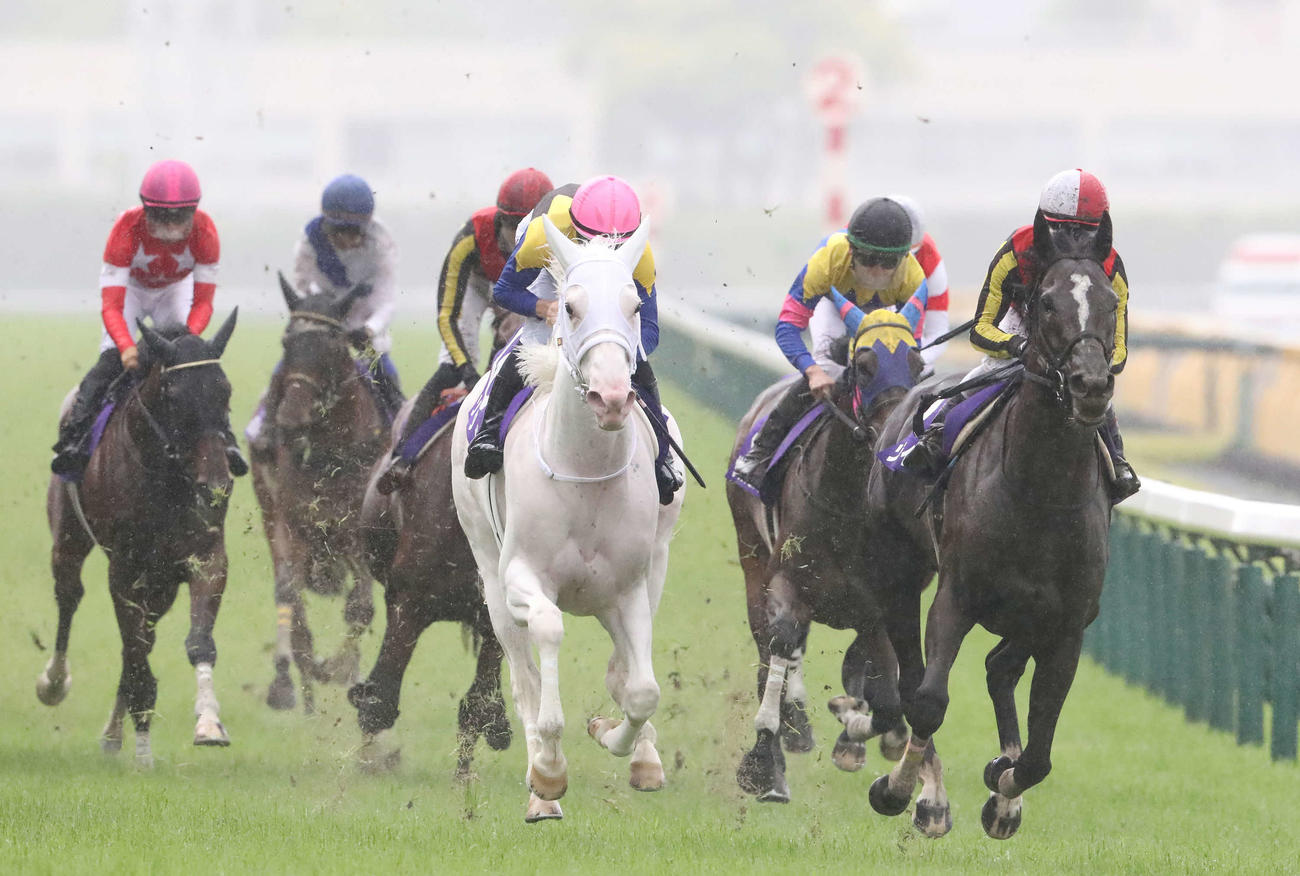 ヴィクトリアMで連覇を狙ったソダシ（中央）は2着に敗れた。右端は勝ったソングライン（撮影・丹羽敏通）