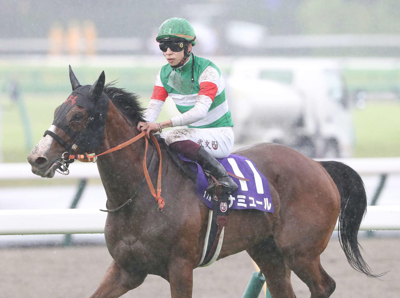 ヴィクトリアMで2番人気に応えられず7着に敗れたナミュールと横山武騎手（撮影・丹羽敏通）