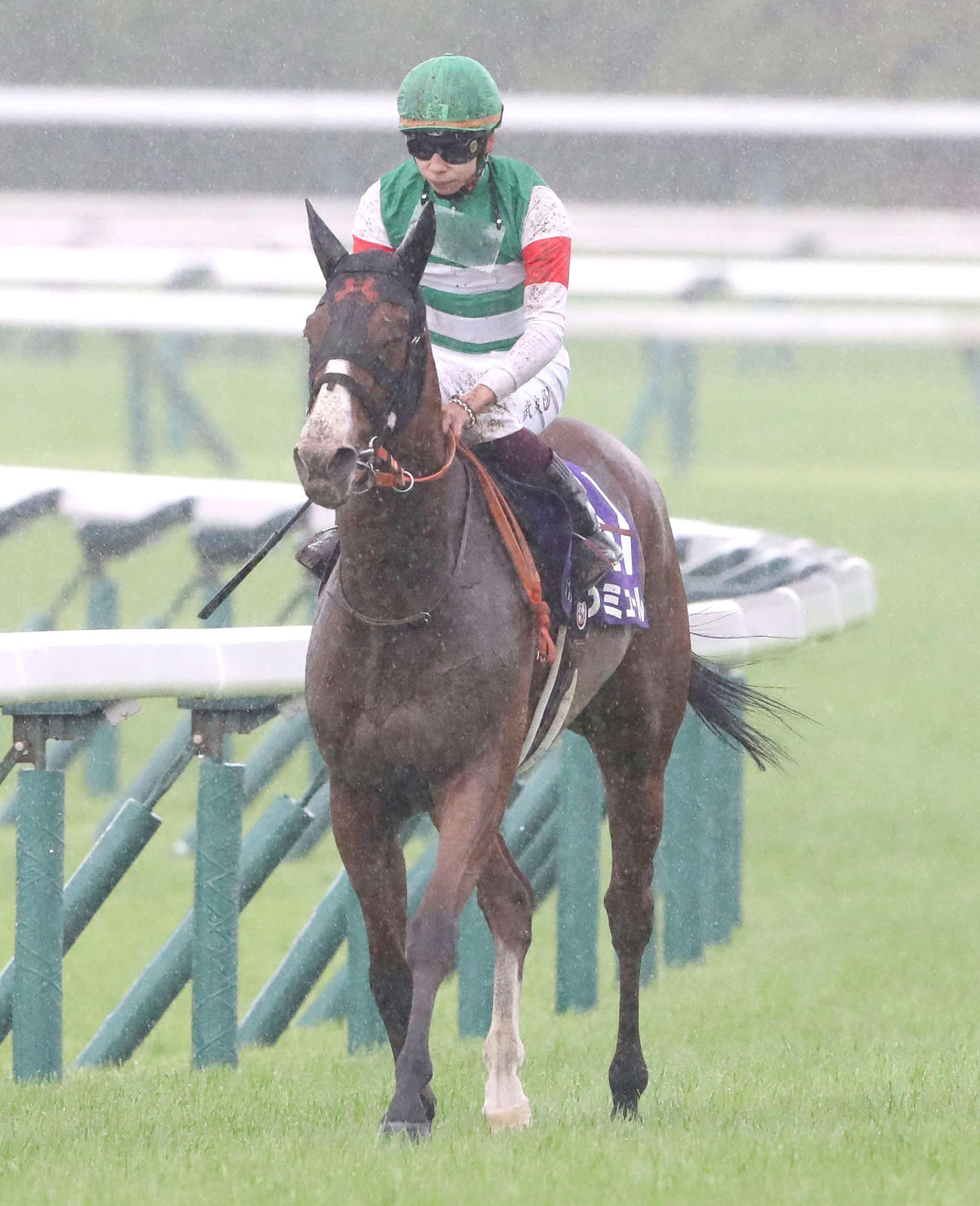 東京11R、ヴィクトリアMで2番人気に応えられず7着に敗れたナミュールと横山武騎手（撮影・丹羽敏通）