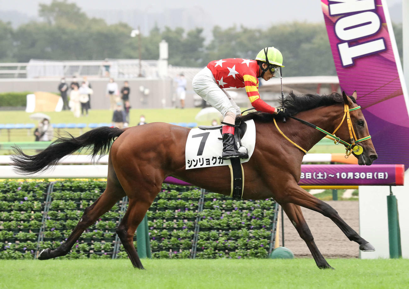 2歳新馬戦を制したシンリョクカと吉田豊騎手（2022年10月撮影）