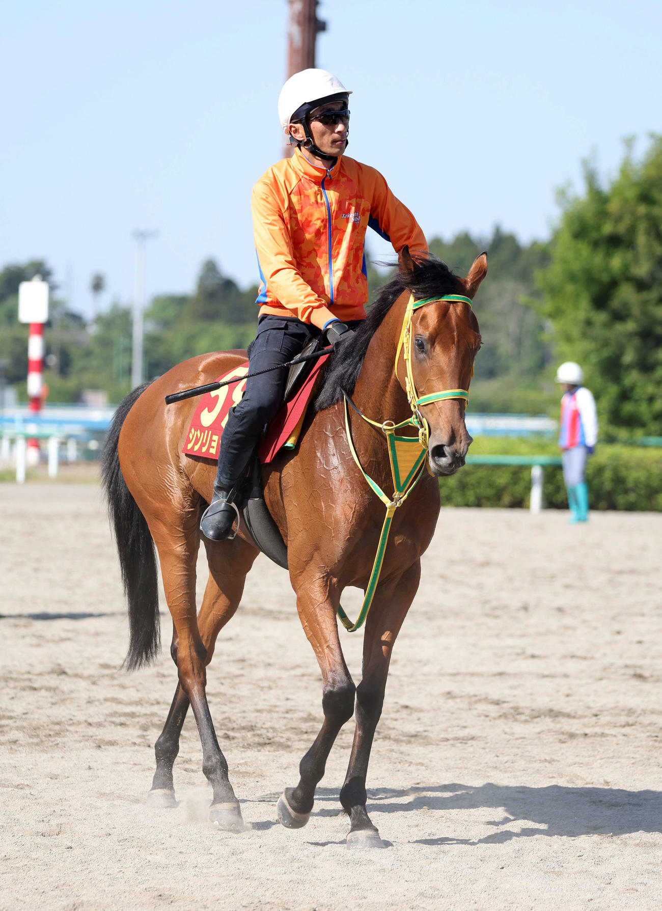 乗り運動するシンリョクカ（2023年5月10日撮影）