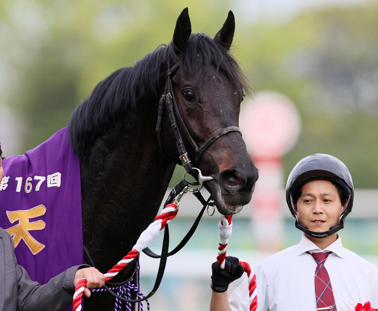 天皇賞・春1着のジャスティンパレス（2023年4月30日撮影）
