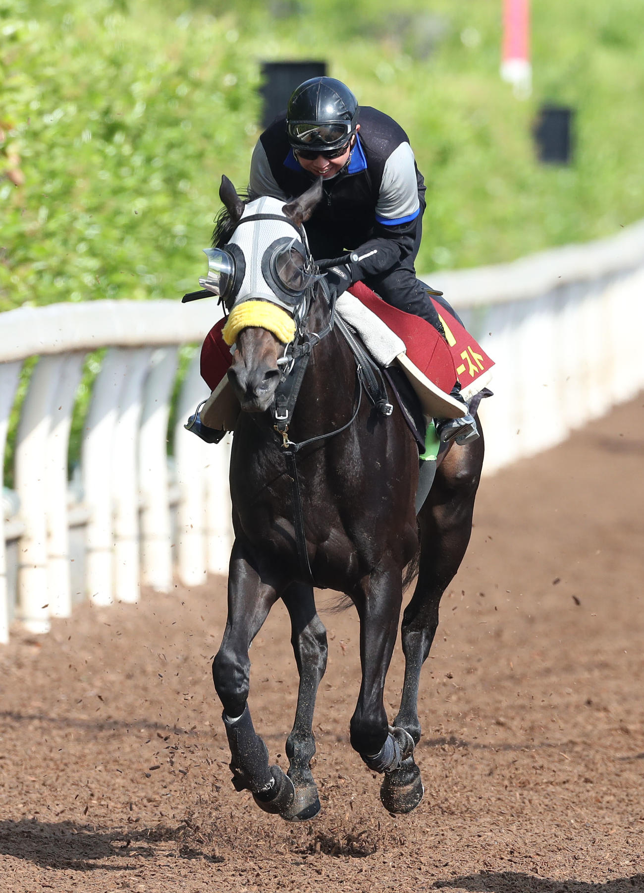 坂路を併せ馬で追い切るコナコースト（撮影・白石智彦）
