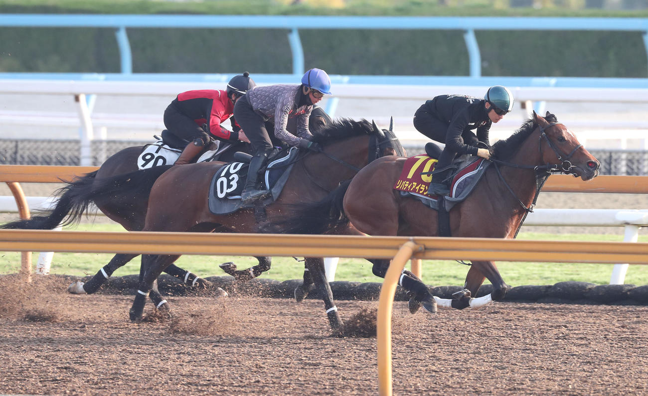 川田騎手を背にサルファーコスモス（左）、ベルシャンブル（中央）と併せて追い切るリバティアイランド