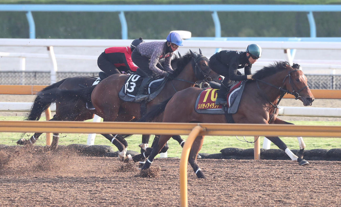 川田騎手を背にサルファーコスモス（左）、ベルシャンブル（中央）と併せて追い切るリバティアイランド