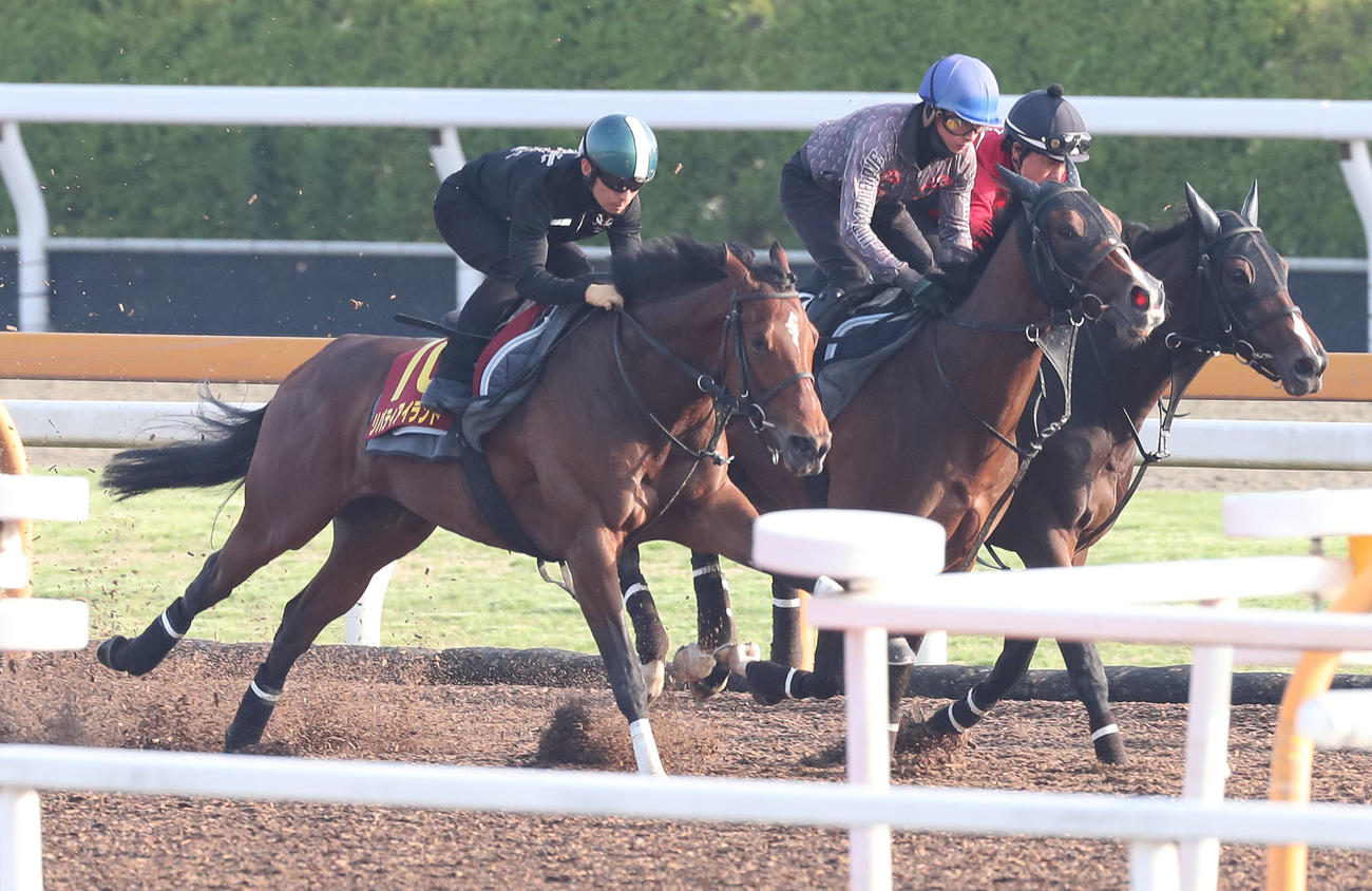 川田騎手を背にサルファーコスモス（右）、ベルシャンブル（中央）と併せて追い切るリバティアイランド