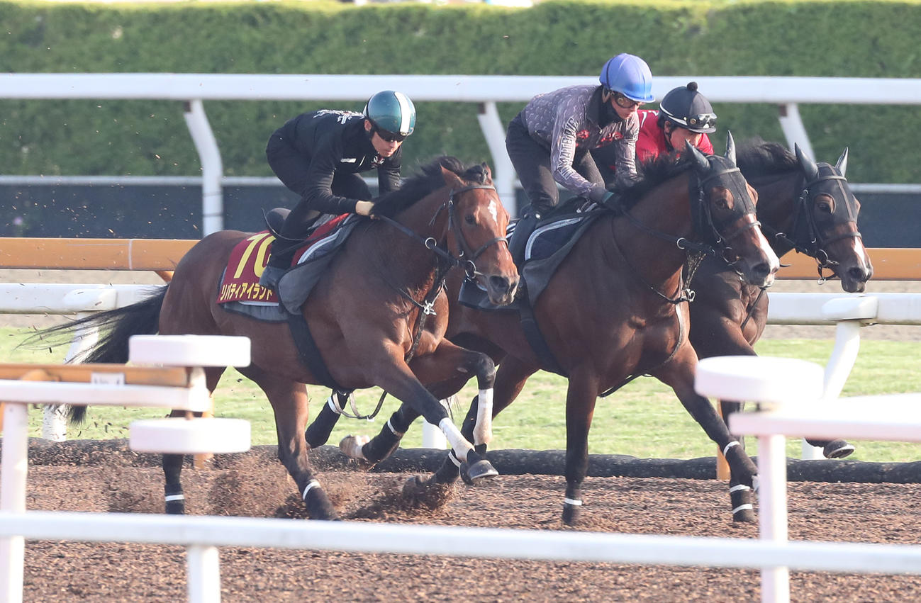 川田騎手を背にサルファーコスモス（右）、ベルシャンブル（中央）と併せて追い切るリバティアイランド