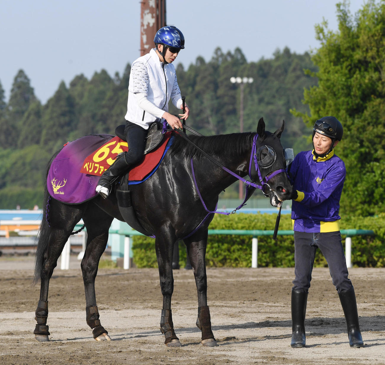追い切りを終えたペリファーニアと横山武騎手（撮影・柴田隆二）