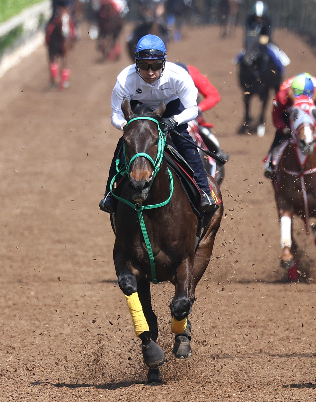 武豊騎手を背に坂路を併せ馬で追い切るソーダズリング（撮影・白石智彦）