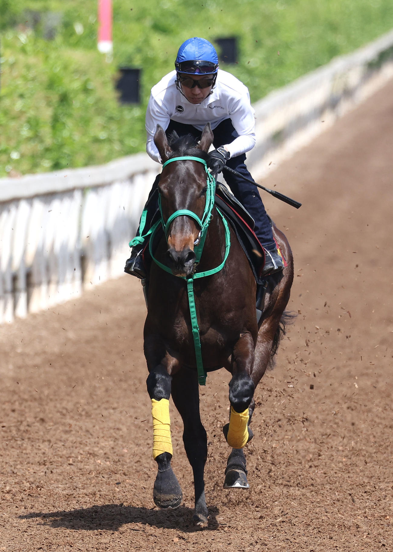 武豊騎手を背に坂路を併せ馬で追い切るソーダズリング（撮影・白石智彦）