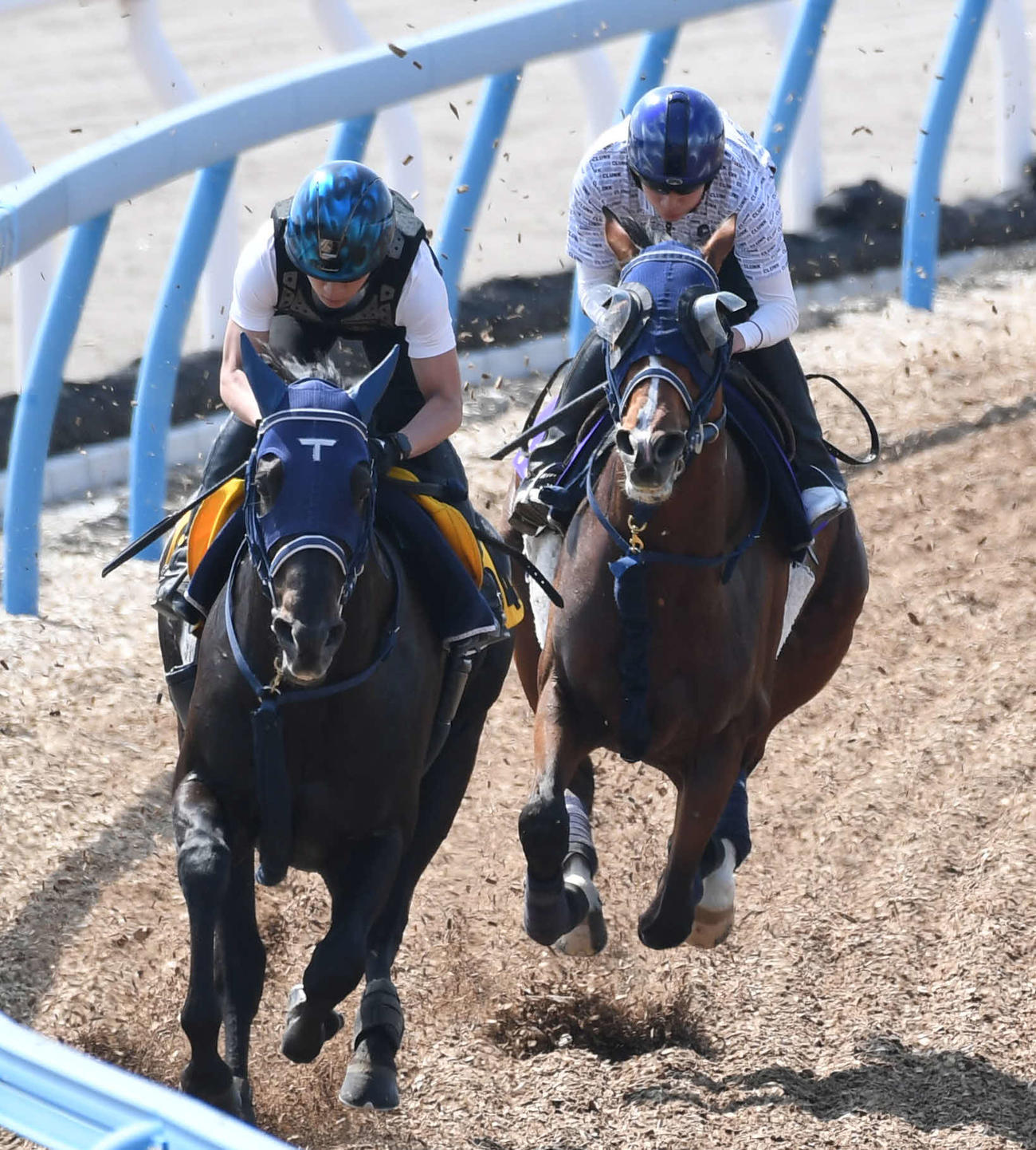 ソールオリエンス（右）はドゥラモンドと併せて追い切る（撮影・柴田隆二）