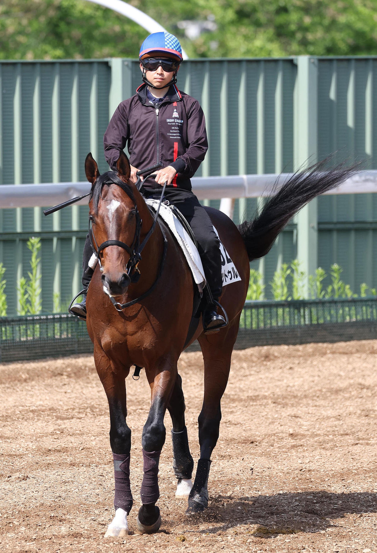 松若騎手を背に角馬場で運動するノットゥルノ（撮影・白石智彦）
