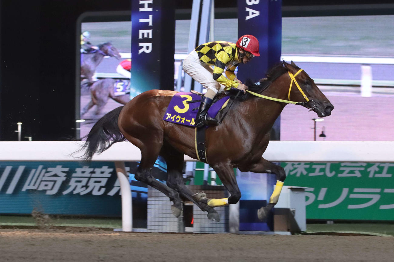 2着に2馬身差の逃げ切りで川崎マイラーズを制したアイウォールと森泰斗騎手