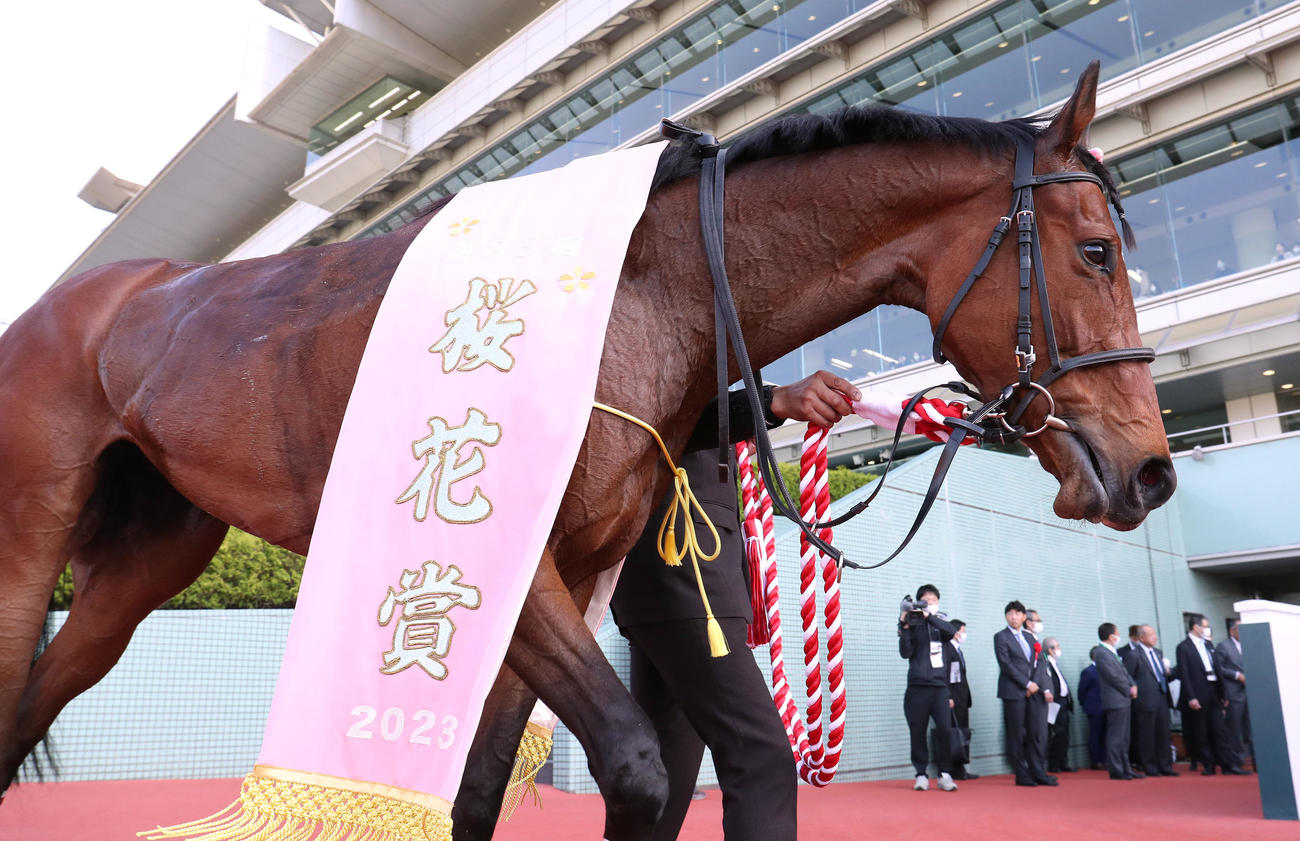 桜花賞を制したリバティアイランド（2023年4月9日撮影）
