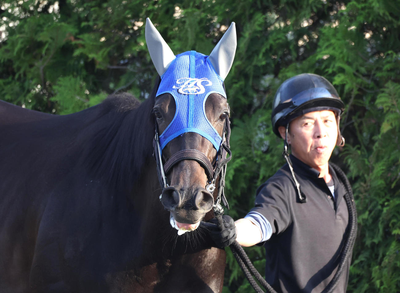 厩舎周りで運動するコナコースト（撮影・白石智彦）