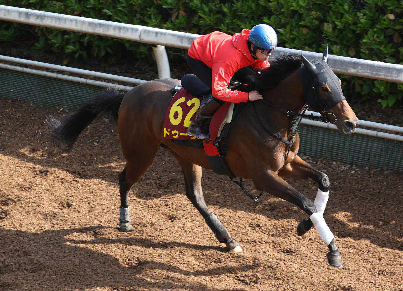 17日、斎藤新騎手を背に坂路で追い切るドゥーラ