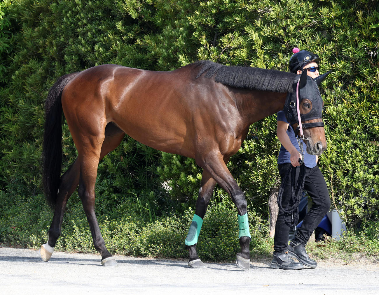 ドゥーラ（2023年5月18日撮影）