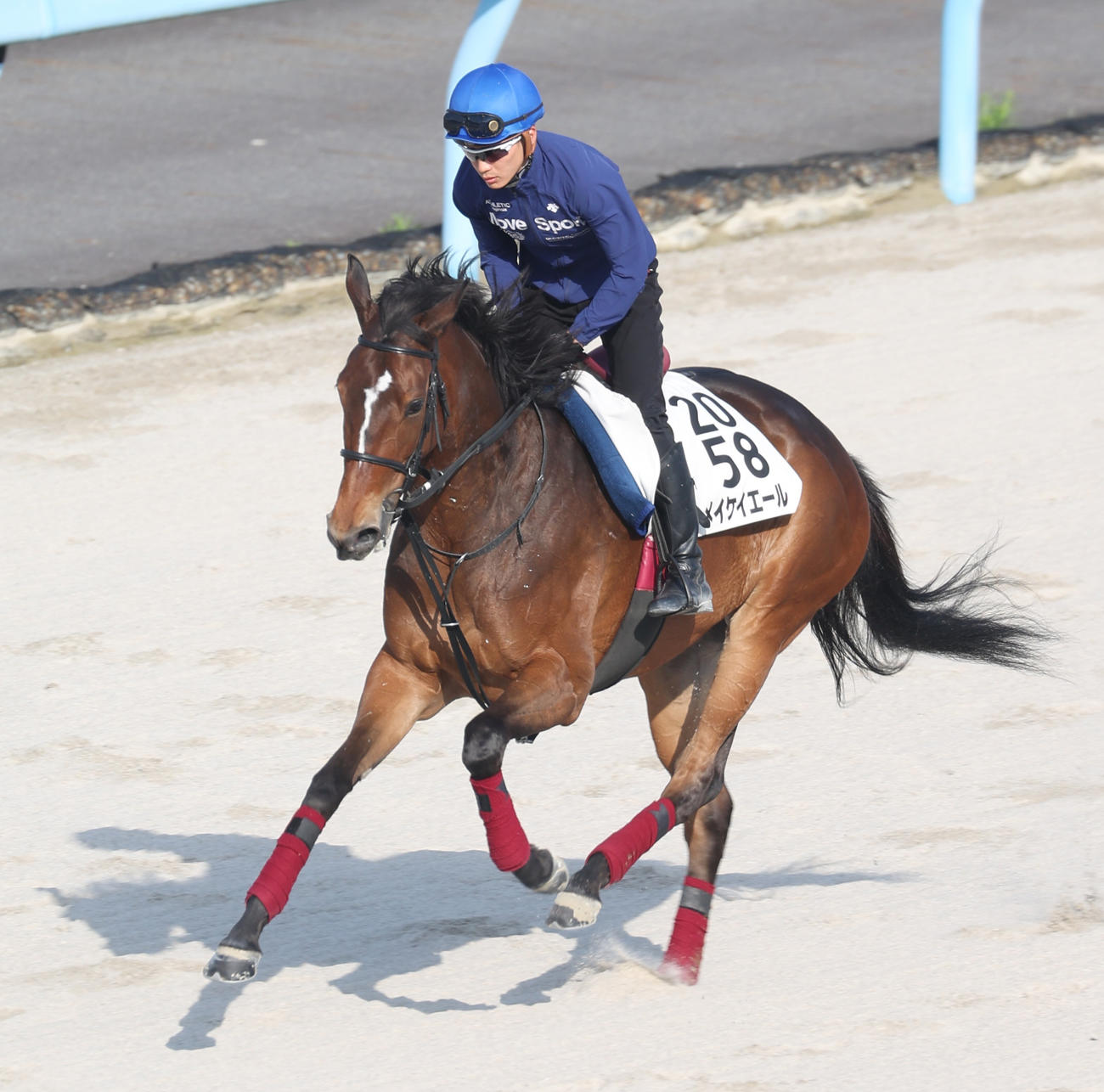 メイケイエール（2023年5月18日撮影）