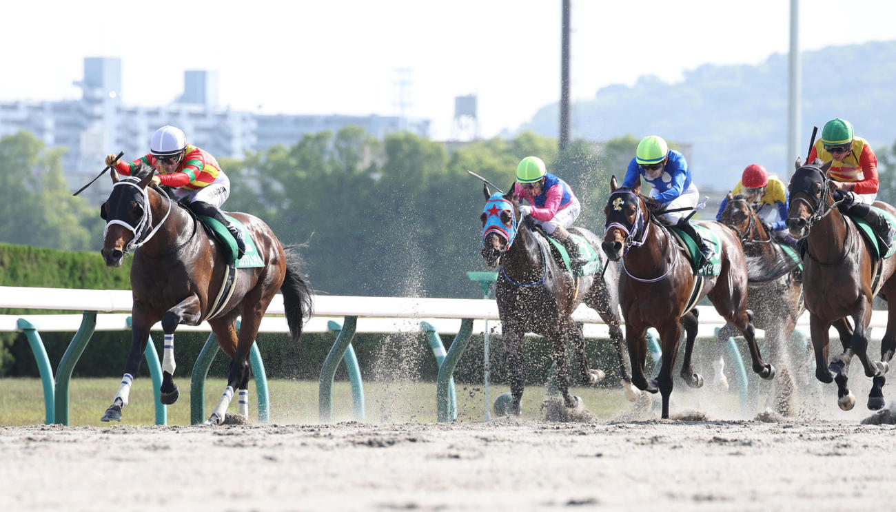 直線抜け出して平安Sを制したグロリアムンディ（左）（撮影・白石智彦）