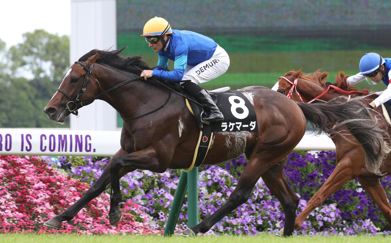 メルボルンTを制したラケマーダ（撮影・白石智彦）