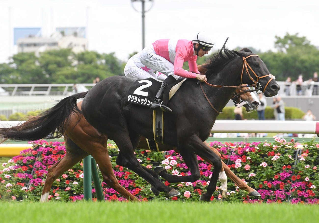 メイSを制したサクラトゥジュール（撮影・柴田隆二）
