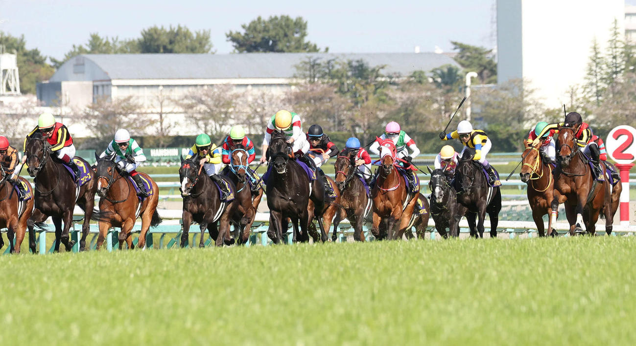 桜花賞2着に敗れたコナコースト（左端）。右端は勝ったリバティアイランド