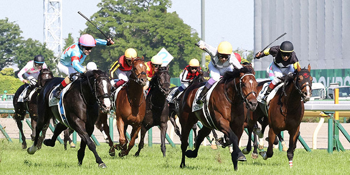 最後の直線で競り合う、前列左からイクイノックス、ドウデュース、アスクビクターモア＝2022年5月29日、東京競馬場